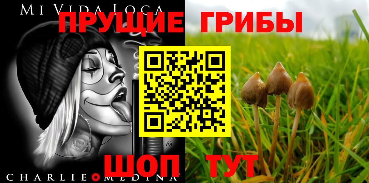 наркошоп  Вход с VPN  Конаково  Псилоцибиновые грибы прущие грибы 